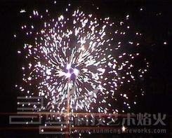 冷烟花的爆料有哪些呢视频  第2张